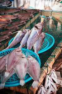鲜鱼和在杰加尔奇海鲜市场上的塑料托盘中马班南朝鲜著名的旅游景点图片