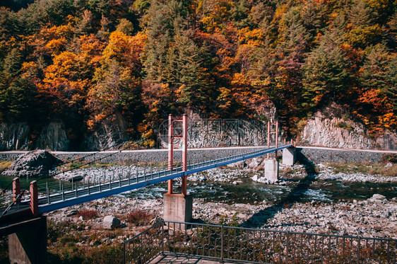 在江原道省Seungb站附近的Baekdugn山脉峡谷的溪流秋林和悬崖桥图片