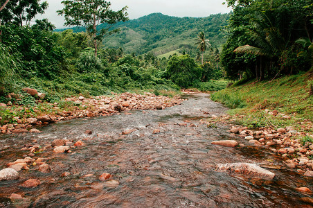 美丽的热带河流水岩石景观和泰国森林图片
