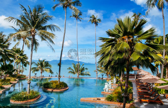 泰国萨穆伊岛热带度假胜地游泳池图片