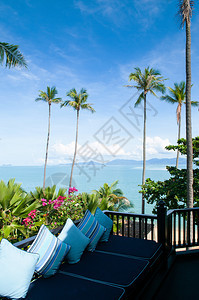 阳光下萨穆伊岛海景和椰子树图片