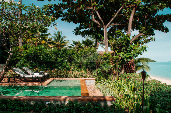 夏天萨穆伊岛的游泳池图片