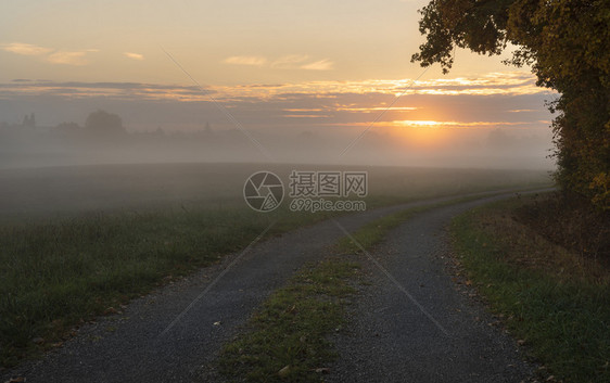 在秋色森林边缘的巷子上通往一片被雾淹没的草原日出时没有人在斯瓦比什大厅附近德国图片