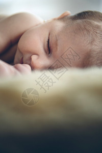 睡在毯子上的婴儿图片