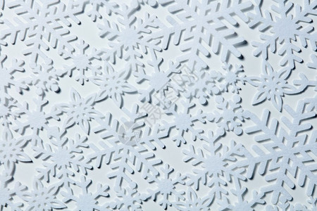 白色霜雪背景的美丽花冬天和圣诞节的概念冬天雪背景图片