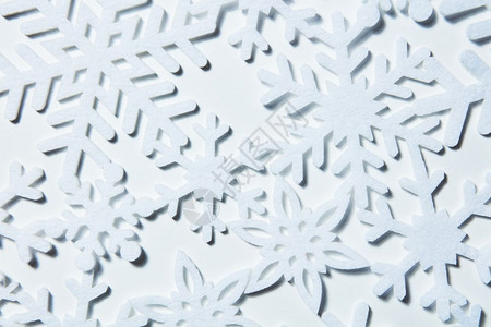 白色霜冻雪底的美丽花冬天和圣诞节的概念白色背景的雪花图片