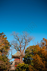 201年月日纳里塔奇巴雅潘纳里塔Sanshioj寺庙观光图片