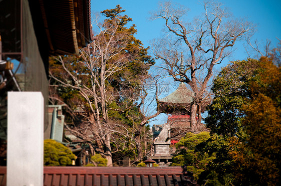 201年月日纳里塔奇巴雅潘纳里塔Sanshioj寺庙观光图片