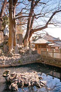 120年纳里塔奇巴雅潘尼诺蒙门的池塘纳里塔Sanshioj寺庙图片