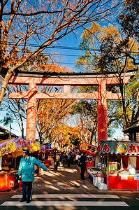 2012年12月10日日本埼玉小宫美哉美丽的红色都灵和东京市场在hikawajinja神社举行的大东海节图片