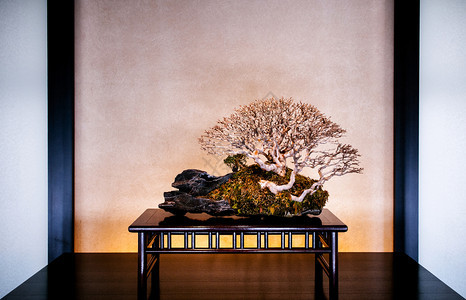 201年月日奥米亚赛塔马雅潘在邦赛村奥米亚博物馆传统日本风格的木桌上美丽的骨盆图片