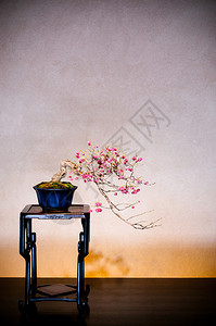 201年月日奥米亚赛塔马日本木桌上的梅骨板位于邦赛村奥米亚博物馆传统日本风格的房间图片