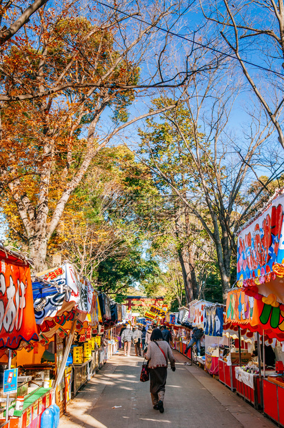 2012年12月10日日本埼玉小宫美哉游客在东京市场在hikawajinja神社的大东海节图片