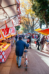 2012年12月10日日本埼玉小宫美哉游客在东京市场在hikawajinja神社的大东海节图片