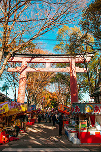 2012年12月10日日本埼玉小宫美哉美丽的红色都灵和东京市场在hikawajinja神社举行的大东海节图片