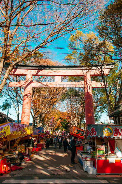 2012年12月10日日本埼玉小宫美哉美丽的红色都灵和东京市场在hikawajinja神社举行的大东海节图片