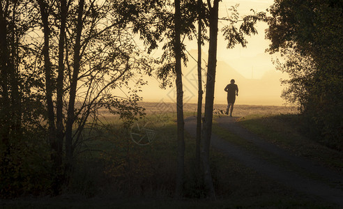 日出时雾的清晨一个男人在森林旁的小巷上奔跑脚影图片