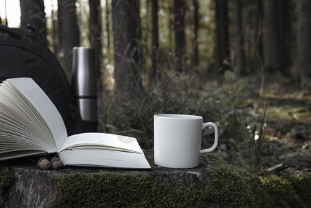 在阳光明媚的奥克托白日在一片树桩上用本开着的书和杯白咖啡在森林的景色中图片