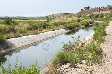 灌溉运河和绿色植物图片