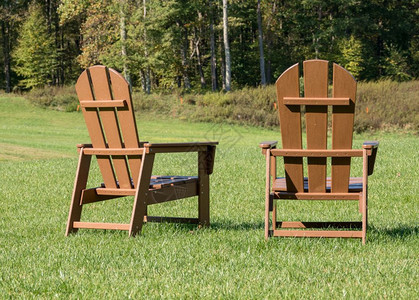 Adironack木制椅子背面的一对木制椅子在草坪上对面的森林图片