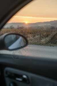 葡萄酒旅游园和汽车日出时在路上秋天的葡萄园图片