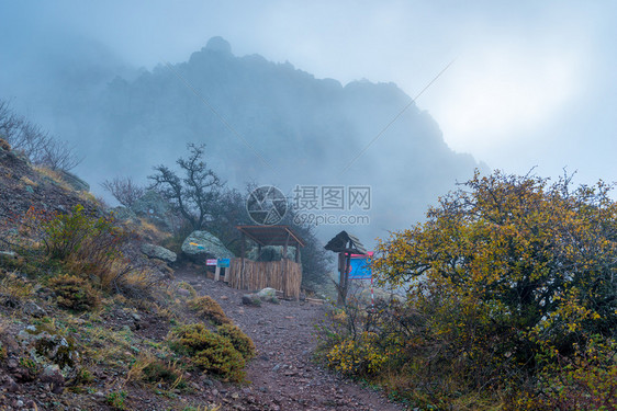 清晨浓雾的景像图片