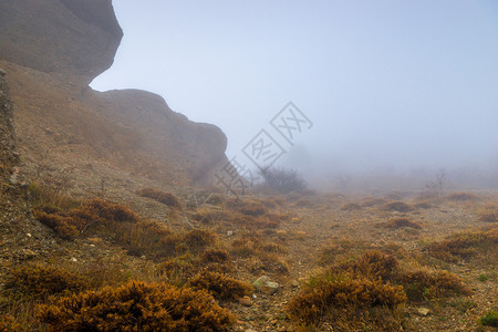 秋山中雾的一天阴暗风景图片