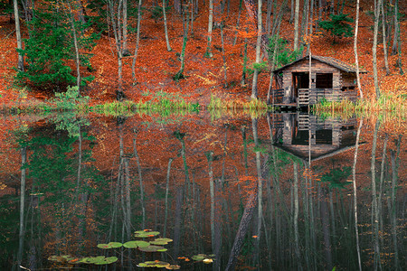 秋天下午森林池塘附近的老渔场美丽风景图片