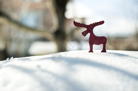 雪上木制圣诞鹿形状图片