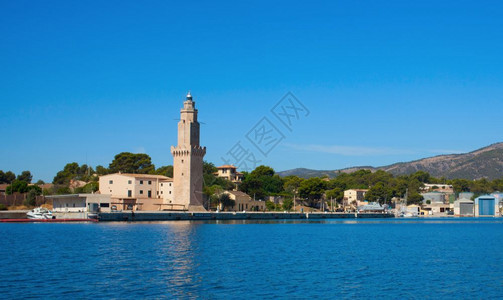 spain的棕榈树观光鸟儿和苍蝇棕榈树海滩和山峰的风景图片