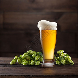 仍然生活在一桶啤酒和绿色的跳跃在深褐色木头背景仍然生活在与一杯啤酒和跳图片