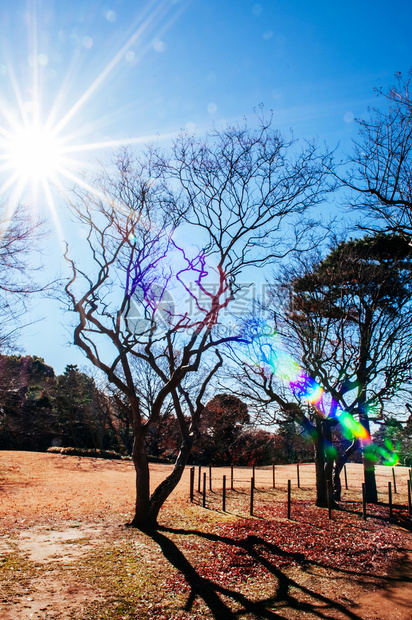 201年月日chibajpn旧公园位于前热塔武士之家秋天在toky附近的著名edo武士村sakur市图片