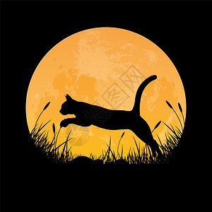 猫在满月背景的草地上跳过场矢量插图图片