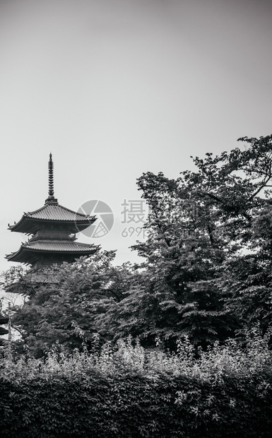 2014年6月日01年月日图片