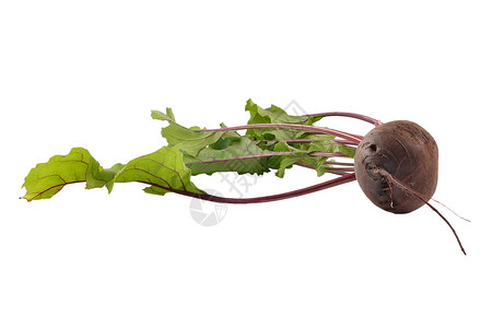 白甜菜白背景的甜菜果背景