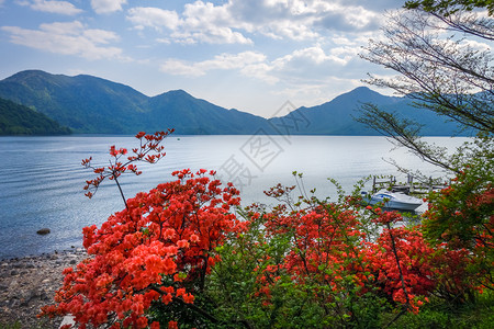 JapnNiko公园的chuzenji湖风景和红花图片