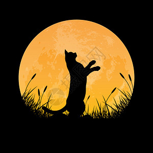 猫在草地上站立的脚影满月背景矢量插图图片