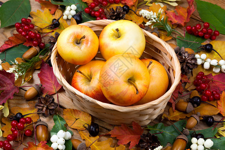 果子篮和叶里的苹果图片