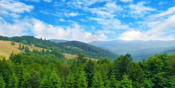 山坡隐形树和天空中的云层美景和华丽的象位置是喀尔巴阡乌黑欧洲探索世界和美貌宽广的照片图片