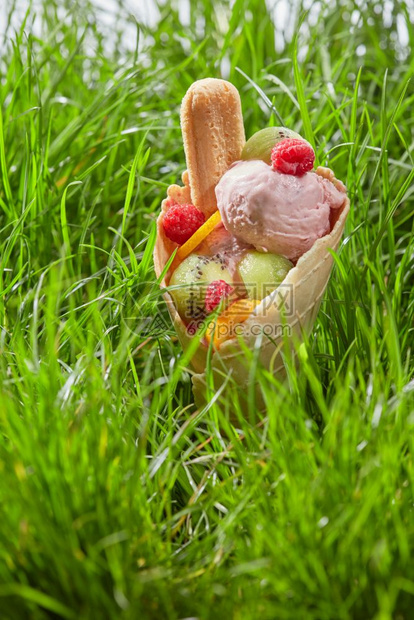 背景是绿草华夫饼蛋卷配浆果冰淇淋水果饼干和浆果华夫蛋卷水果冰淇淋图片