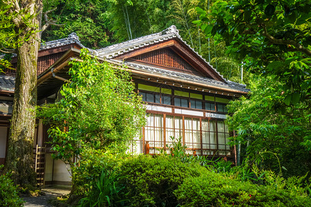 日本京都寺庙花园中的奇昂建筑日本京都寺庙花园中的香椿图片