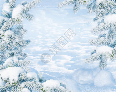 寒冷阳光明日的冬月风景有白雪贴近和地漂的树木覆盖着青自然户外森林中下雪的背景有复制空间以蓝色刻着图片