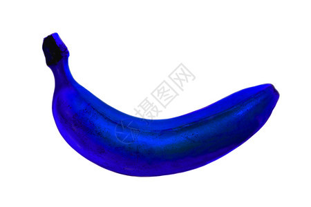 白色背景上孤立的蓝色香蕉白底蓝香蕉图片