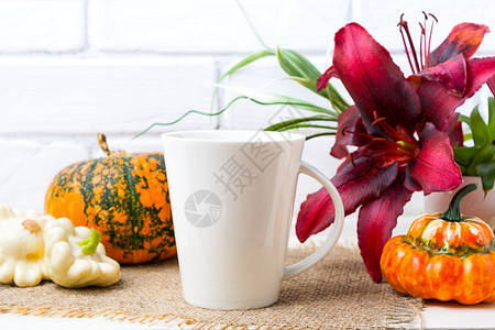 白色大咖啡拿铁杯装感恩节橙色南瓜和红百合空杯装作设计宣传品背景图片