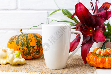 白咖啡卡布奇诺杯配有秋季橙色南瓜和红百合空杯子装上设计促销品图片