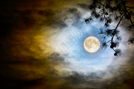 中秋团圆之夜的月亮又圆又亮图片