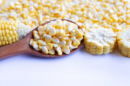 白色背景的玉米种子和成熟鳕背景