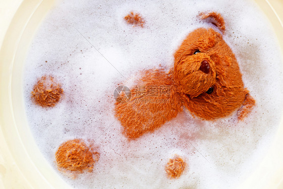 洗熊棕图片