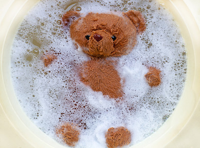 洗熊棕图片
