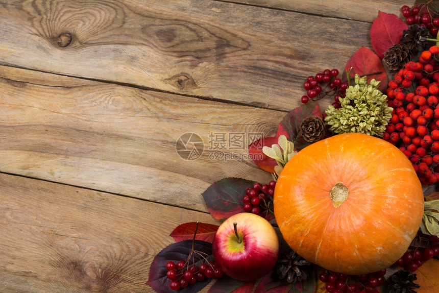 南瓜苹果罗兰浆甜瓜和红秋叶复制空间图片
